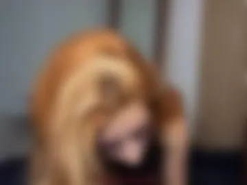 footaurastudio photo 7