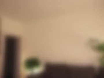 forestproject photo 2