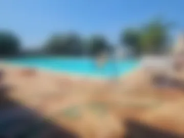 fra__71 webcam preview