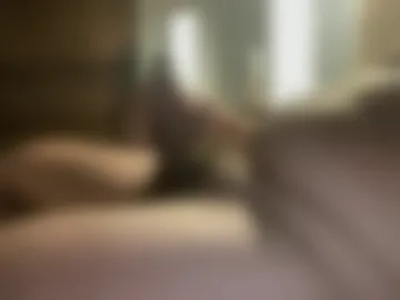 frankw09 webcam preview