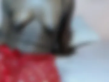 freakyebony1 photo 3