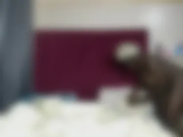 freakypatootie photo 2