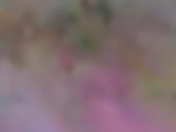 frenchbeardman live webcam preview