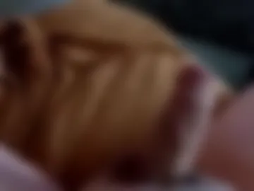 frenchbislave photo 7