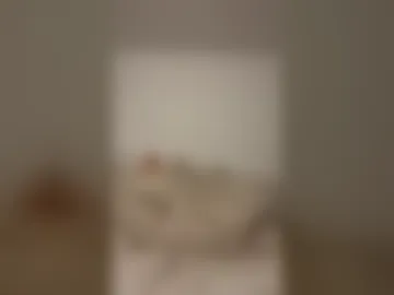 frenchtunisian live webcam preview