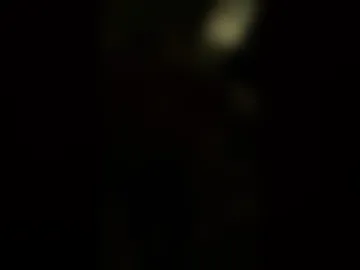 froggy___8 live webcam preview