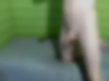 fuckroomde live webcam preview