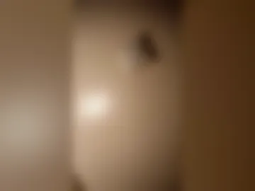 fun115665 live webcam preview