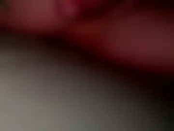 fun205075 live webcam preview