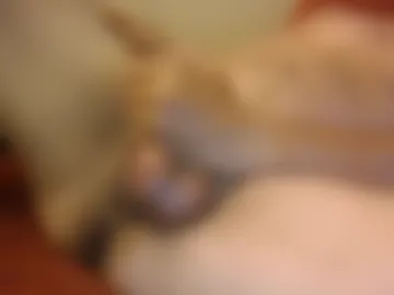 funcast420 webcam preview