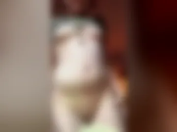 g0thicbaby photo 2