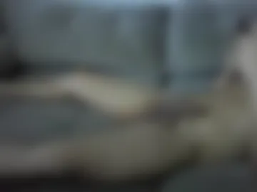 gabriel4236 live webcam preview