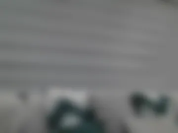 galoricardo10 photo 8