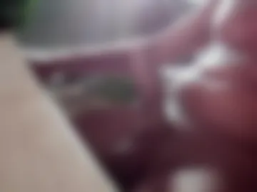 gasbud69 live webcam preview
