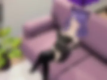 gatitacomitas photo 3