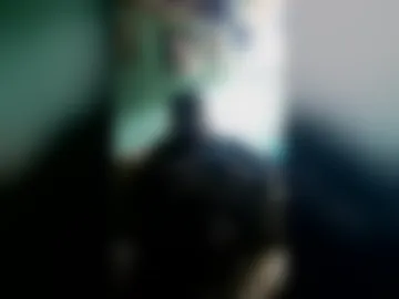 gatochoi photo 3