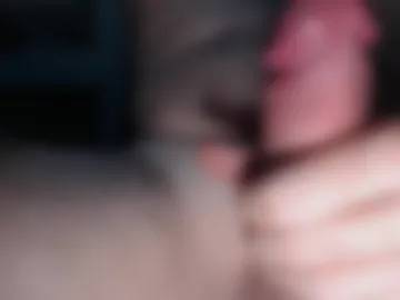 gatofloripa1 photo 3