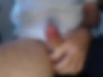 gatofloripa1 photo 2