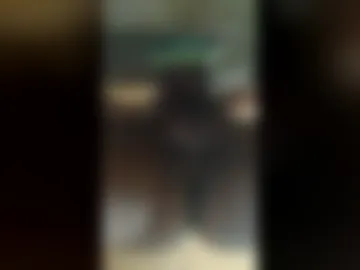 gaudiestlake1 live webcam preview