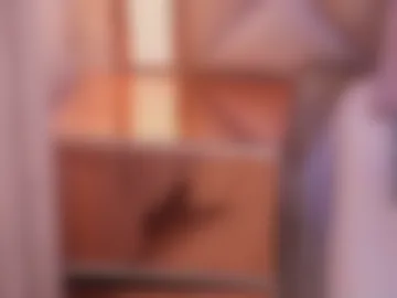 gemma_sm webcam preview