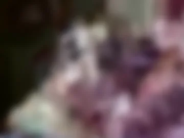 genestreia live webcam preview