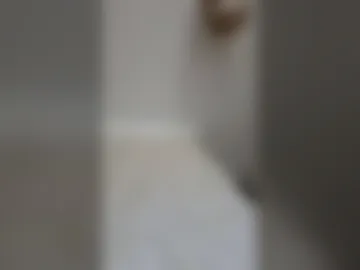 geoboywithhugedick live webcam preview