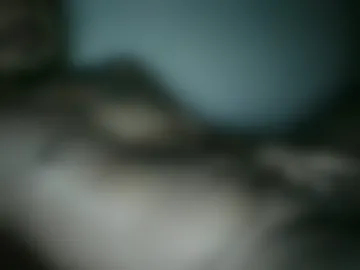 getemgone98 photo 2