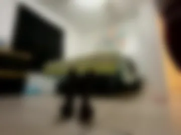 getngetout88 photo 8