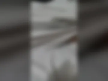 gigoboro live webcam preview