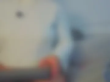 giigii_hadidd photo 2