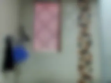 gikitrans live webcam preview