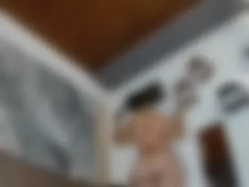 ginebrass webcam preview