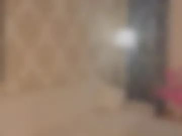 gingerenok webcam preview