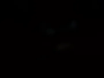 gingr6 photo 4
