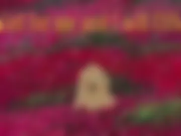 girl_u_never_met webcam preview