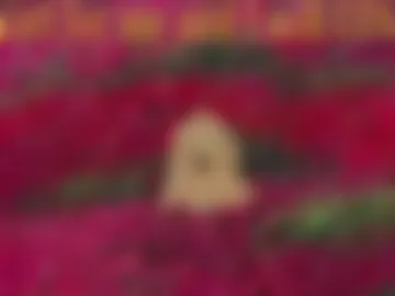 girl_u_never_met webcam preview
