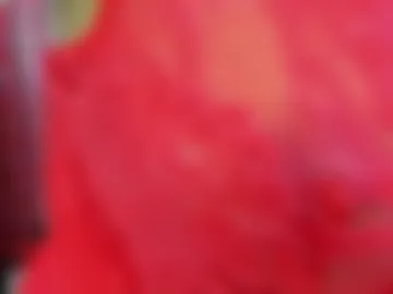 girlsbdm photo 3