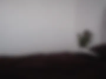 goddesslexi95 photo 2