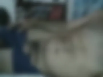 godoymaicol405 live webcam preview