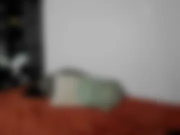 godsilk live webcam preview