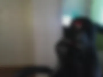 golden_boyyy21 photo 4