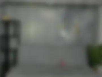 golden_girl_house webcam preview