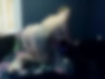 goldendelicious577600 webcam preview