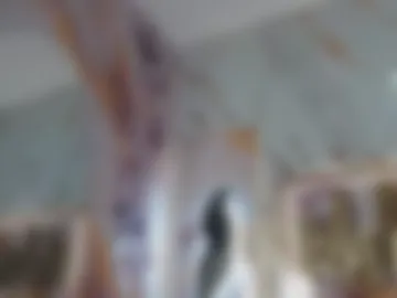 goldenmusee live webcam preview