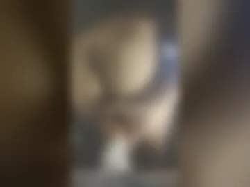 gonpin18cm live webcam preview