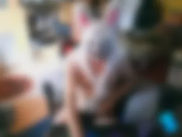 google5001 photo 4