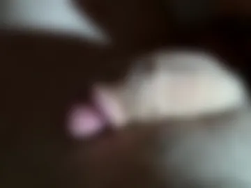 gp11111 live webcam preview
