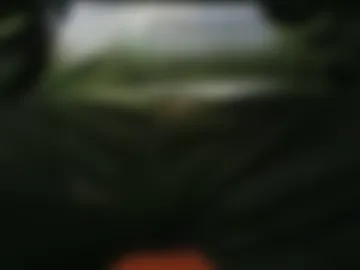 grapefruit live webcam preview