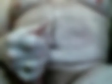 gratiotdetroit1 photo 8