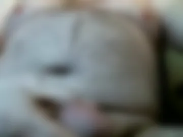 gratiotdetroit1 photo 5